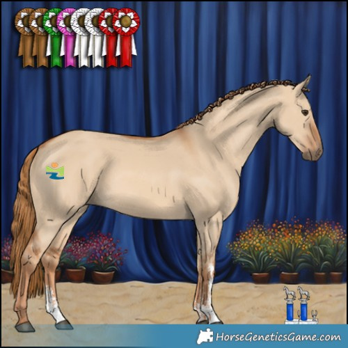 Horse Color:Red Dun Sabino 