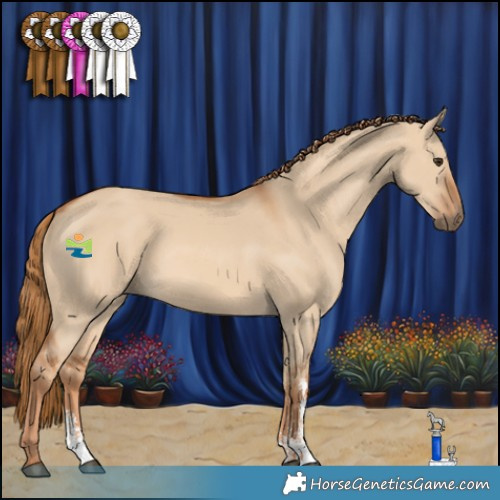 Horse Color:Red Dun Sabino 