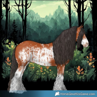 Horse Color:Bay Sabino  and Bay Sabino Frame 