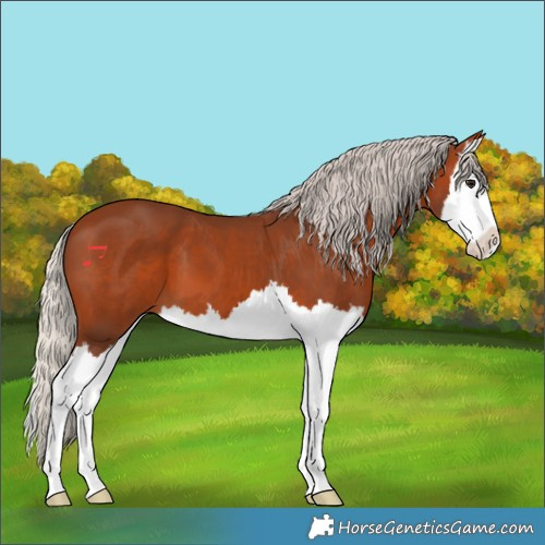 Horse Color:Silver Brown Splash 