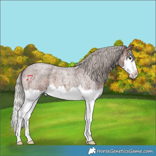 Horse Color:Silver Brown Roan Splash 