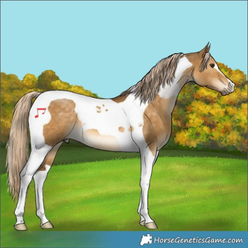 Horse Color:Chocolate Palomino Dun Tobiano 