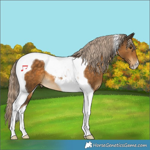 Horse Color:Chocolate Palomino Tobiano 