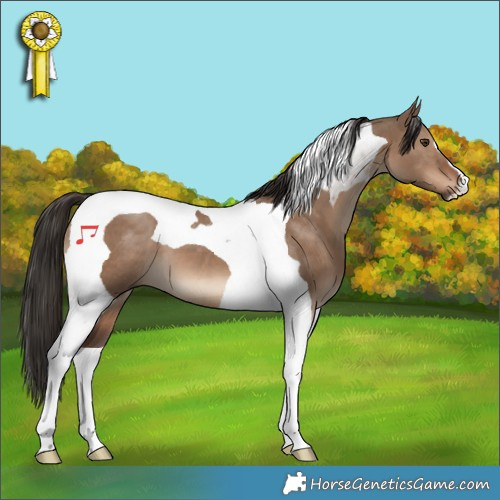 Horse Color:Liver Red Dun Tobiano 