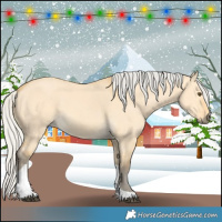 Horse Color:Silver Buckskin Dun Tobiano