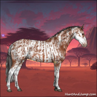 Horse Color:Bay Sabino  and Bay Sabino Frame 
