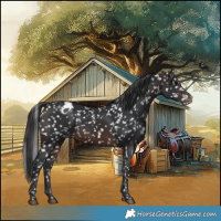 Horse Color:Brown Snowflake Varnish 