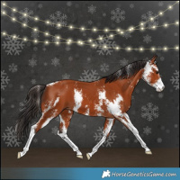 Horse Color:Bay Sabino  and Bay Sabino 