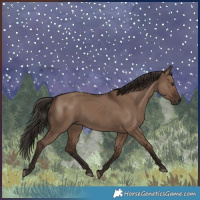 Horse Color:Liver Red Dun 