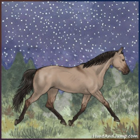 Horse Color:Liver Red Dun