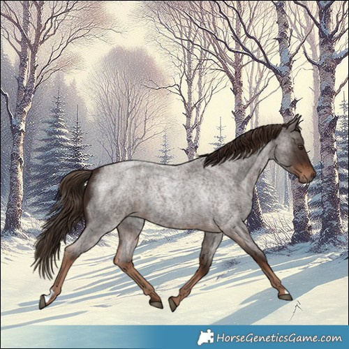 Horse Color:Liver Red Roan 