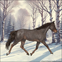 Horse Color:Liver Red Roan 