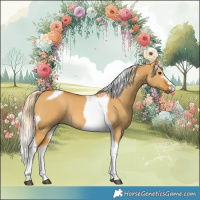 Horse Color:Palomino Dun Tobiano