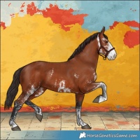 Horse Color:Bay Sabino  and Bay Sabino 