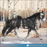 Horse Color:Brown Sabino  and Brown Sabino 