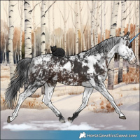 Horse Color:Brown Sabino and Brown Sabino