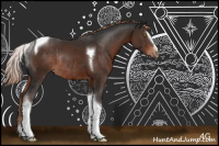 Horse Color:Liver Chestnut Sabino Tobiano Rabicano 