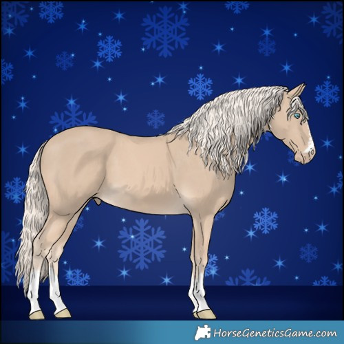 Horse Color:Cremello 