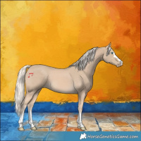 Horse Color:Cremello 