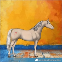 Horse Color:Cremello