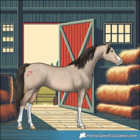 Horse Color:Sable Champagne Dun Splash 