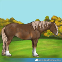 Horse Color:Chocolate Palomino