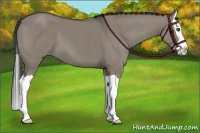 Horse Color:Smoky Grullo Splash