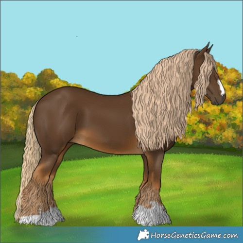Horse Color:Chocolate Palomino 