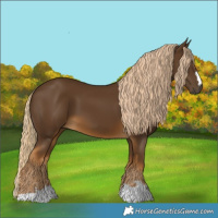 Horse Color:Chocolate Palomino 