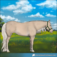 Horse Color:Cremello 