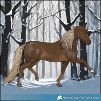 Horse Color:Chocolate Palomino