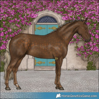 Horse Color:Chocolate Palomino 