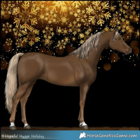 Horse Color:Chocolate Palomino 
