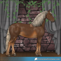 Horse Color:Chocolate Palomino 
