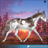 Horse Color:White Spotted Liver Chestnut Splash 