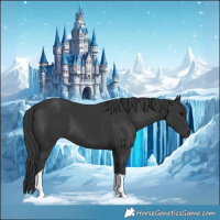 Horse Color:Black Tobiano 