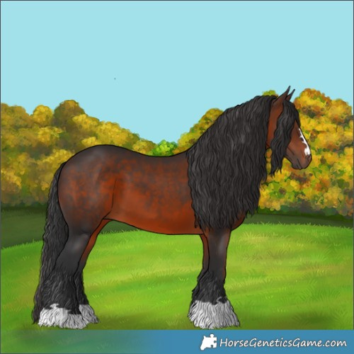 Horse Color:Brown 