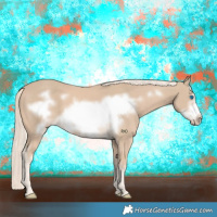 Horse Color:Cremello Frame 