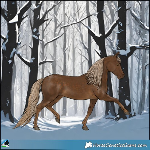 Horse Color:Chocolate Palomino