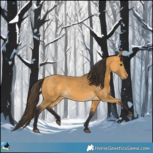 Horse Color:Buckskin