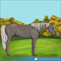 Horse Color:Silver Black 