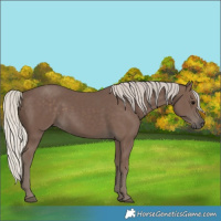 Horse Color:Silver Black