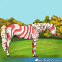 Horse Color:Palomino Dun Tobiano 