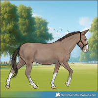 Horse Color:Classic Champagne Splash 