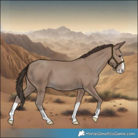 Horse Color:Classic Champagne Splash 