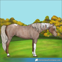Horse Color:Gray Silver Blue Roan Pearl Tobiano 