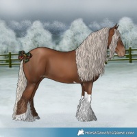 Horse Color:Gray Silver Black Pearl Tobiano