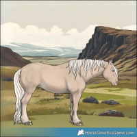 Horse Color:Cremello 
