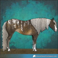 Horse Color:Powder White Silver Buckskin 