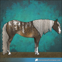 Horse Color:Powder White Silver Buckskin 